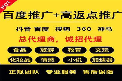 案例分析：百度推广成功案例解析